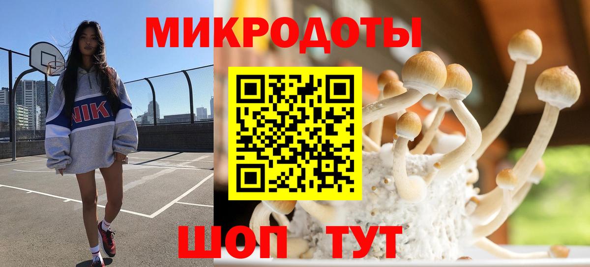 Галлюциногенные грибы Magic Shrooms Амурск