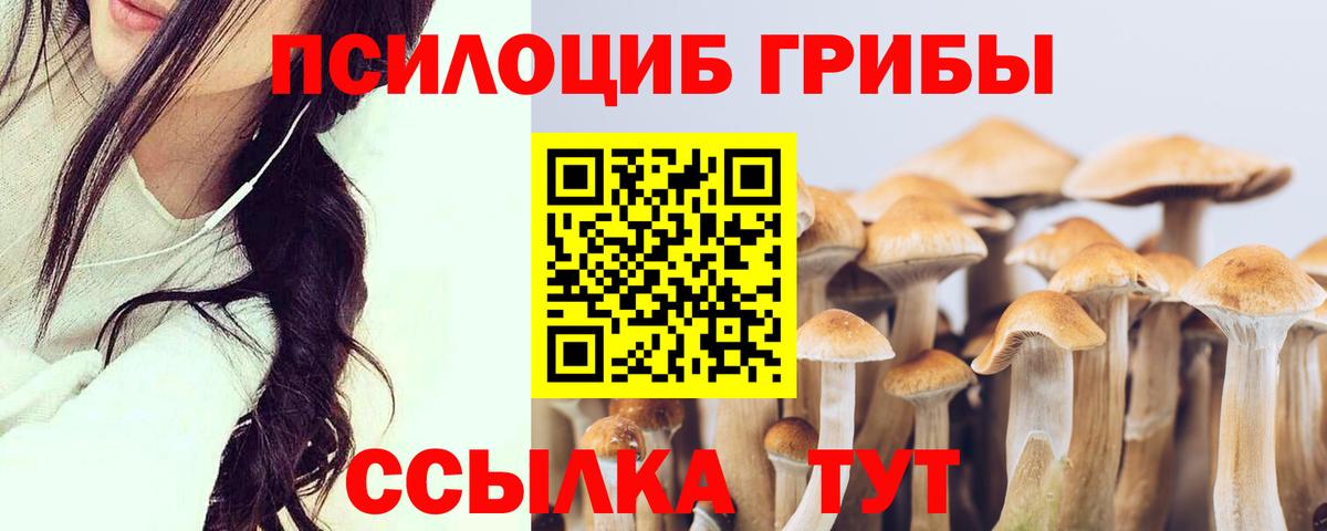 Псилоцибиновые грибы прущие грибы  Вход с VPN  Амурск 